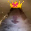 danielcraddock10 - @daniel7_crad - TikTok