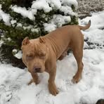 Craig Daniel - Facebook