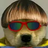Daniel Crammer - @daniel.crammer - TikTok