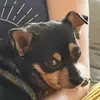 danielcramer877 - @danielcramer877 - TikTok