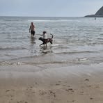 Daniel Crawshaw - Facebook