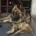 Daniel Cray - Facebook
