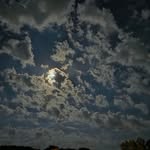 Daniel Creek - @danielcreek04 - Instagram