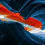 daniel creek - @danielcreek456 - Instagram