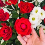 𝓓𝓪𝓷𝓲𝓮𝓵𝓮 𝓒𝓻𝓮𝓼𝓬𝓮𝓷𝓽𝓲𝓷𝓲 𝓕𝓻𝓪𝓼𝓲♡❦ - @daniele_crescentini_frasi - Instagram