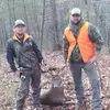 Goose - @danielcressell - TikTok