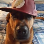 Daniel Cressman - @lifeofayoutuber1 - Instagram
