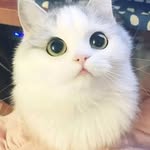Daniel cretescu - @daniel_cretescu_cata - Instagram