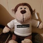 Daniel Crites - @pus_capable - Instagram