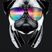 Daniel Crocetti - Facebook