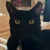 EthanDanielCrochet - @ethandanielcrochet - TikTok