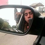 Daniel Crouch - @danicrouch - Instagram