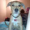 danielcrouch670 - @danielcrouch670 - TikTok