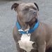Daniel Crum - Facebook