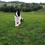 daniel - @daniel_crumpton__ - Instagram