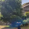 Daniel C.C. - @daniel_cuadras - TikTok
