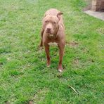Daniel Cunningham - Facebook