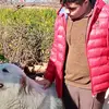 Daniele cuoco - @daniele.cuoco - TikTok