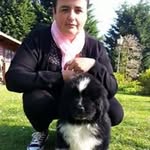 Daniel Nathalie Cuvelier - @danielnathaliecuvelier - Instagram