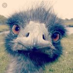Daniel Daguerre - @daniel.daguerre.58 - Instagram