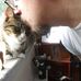 Daniel Damiano - Facebook