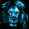 d_dans_d - @dans_daniels - TikTok