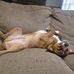 Daniel Daugherty - Facebook