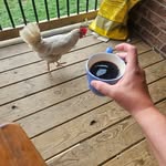 Daniel Deal - @real_deal_coffee_co_reelguy - Instagram