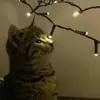 danieldealsz - @danieldealsz - TikTok