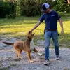 Daniel - @daniel_debord - TikTok