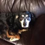 Danny Defibaugh - Facebook