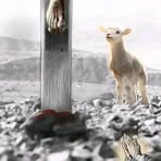 Daniel Abebe Tafa - Facebook