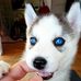 Daniel Degen - Facebook