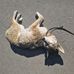 Daniel de Hoog - Facebook