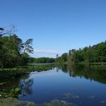 Daniel Deibler - @danielnaturetracks - Instagram