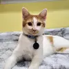 Danielle Delagrange - @danie.r0se - TikTok