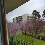 Daniel Delattre - Facebook
