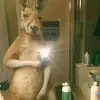 Daniel Del Cid - @daniel.del.cid922 - TikTok