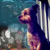 dani_el_delfin - @dani_el_delfin - TikTok