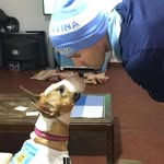 Daniel Delfin - @da.delfin - Instagram