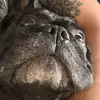 Daniel Perez40333 - @danieldelfin30 - TikTok