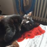 Daniela de Lillo - @daniela.delillo.10 - Instagram