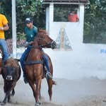 Daniel de Lima - @daniel147dovaqueiro - Instagram