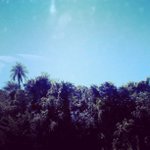 Daniel Deloach - @iveijman - Instagram