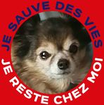Daniel Dely - Facebook