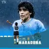 dany - @danieledimaiolo - TikTok