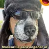 Daniel De Manda - @danieldemanda - TikTok