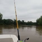 Daniel Demarchi - @daniel.demarchi.2863 - Instagram