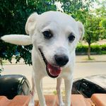 Daniel de mello - @didiel.mello2 - Instagram