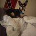 Daniel Denham - Facebook